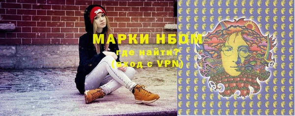 сатива Армянск