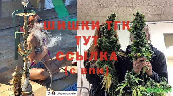 амф Аркадак