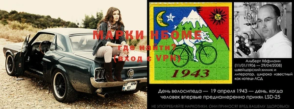 амф Аркадак