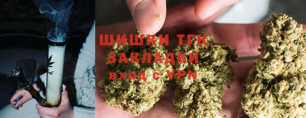 амф Аркадак