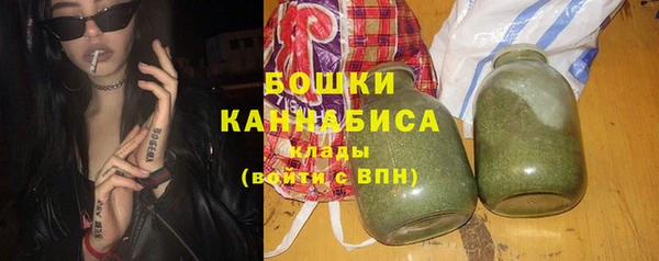 сатива Армянск