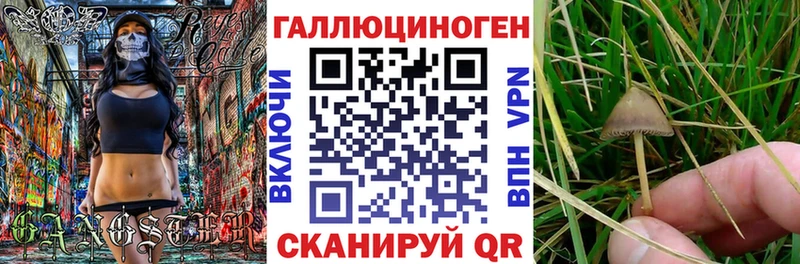 Псилоцибиновые грибы прущие грибы  цена   гидра вход  Мезень 
