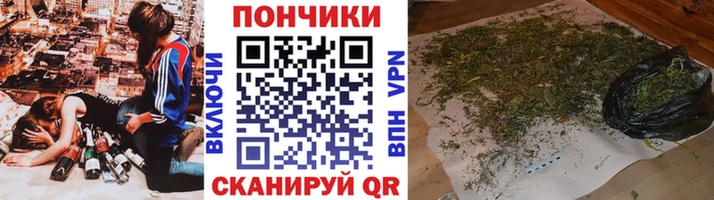Каннабис планчик  Мезень 